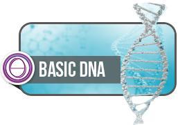 DNA Básico